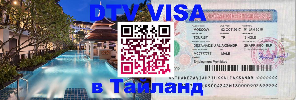 Оформление DTV визы под ключ: стоимость и тарифы, только загранпаспорт - 